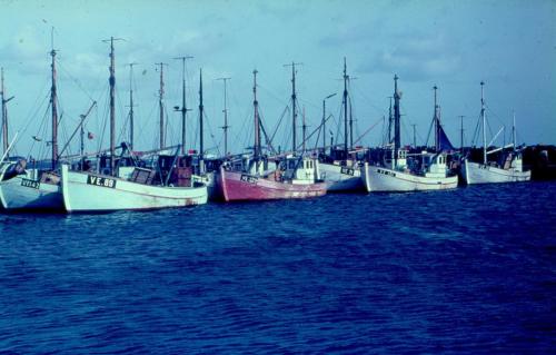 Fiskekuttere sidst i 1960'erne 